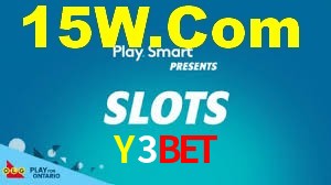 Premium Interface Y3BET